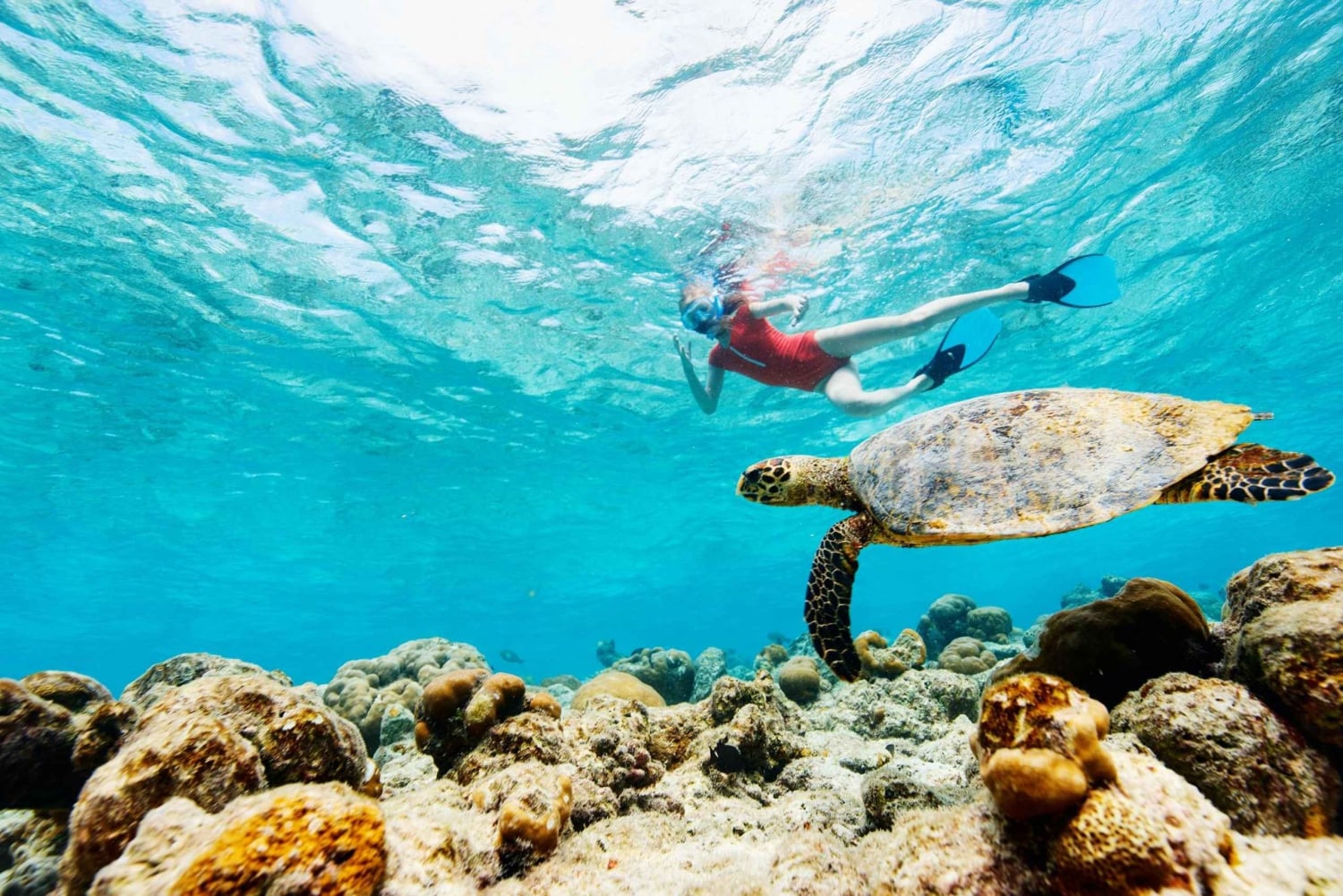 من مسقط: رحلة الغطس (رحلة جزيرة الديمانيات)