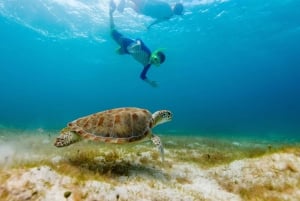 من مسقط: رحلة الغطس (رحلة جزيرة الديمانيات)