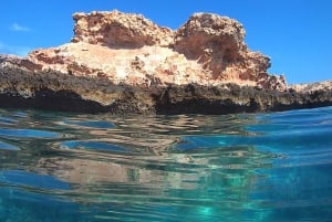 من مسقط: رحلة الغطس (رحلة جزيرة الديمانيات)