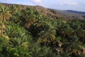 Au départ de Mascate : Wadi Al Arbaeen, Fins & Bimmah Coastal Tour