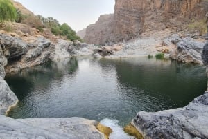 From Muscat: Wadi Al Arbieen Adventure, Sinkhole, Fins Beach