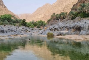 From Muscat: Wadi Al Arbieen Adventure, Sinkhole, Fins Beach