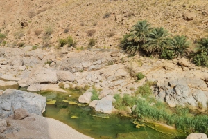 From Muscat: Wadi Al Arbieen Adventure, Sinkhole, Fins Beach