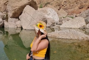 From Muscat: Wadi Al Arbieen Adventure, Sinkhole, Fins Beach