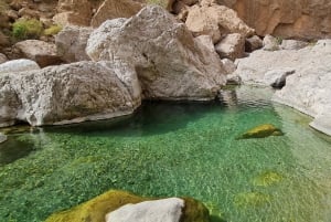 From Muscat: Wadi Al Arbieen Adventure, Sinkhole, Fins Beach