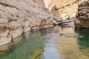 From Muscat: Wadi Al Arbieen Adventure, Sinkhole, Fins Beach