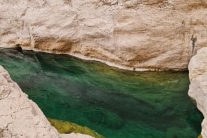 From Muscat: Wadi Al Arbieen Adventure, Sinkhole, Fins Beach