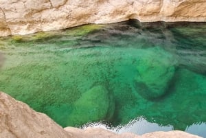 From Muscat: Wadi Al Arbieen Adventure, Sinkhole, Fins Beach