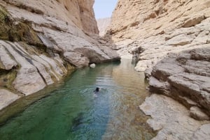 From Muscat: Wadi Al Arbieen Adventure, Sinkhole, Fins Beach