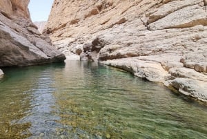 From Muscat: Wadi Al Arbieen Adventure, Sinkhole, Fins Beach