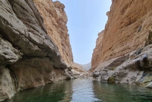 From Muscat: Wadi Al Arbieen Adventure, Sinkhole, Fins Beach