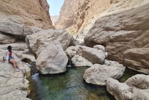 From Muscat: Wadi Al Arbieen Adventure, Sinkhole, Fins Beach