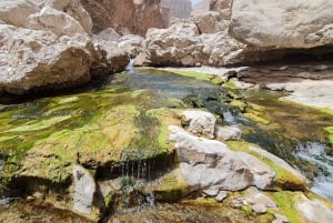 From Muscat: Wadi Al Arbieen Adventure, Sinkhole, Fins Beach