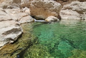 From Muscat: Wadi Al Arbieen Adventure, Sinkhole, Fins Beach