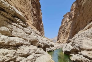 From Muscat: Wadi Al Arbieen Adventure, Sinkhole, Fins Beach