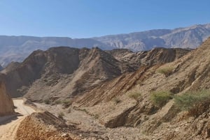 From Muscat: Wadi Al Arbieen Adventure, Sinkhole, Fins Beach