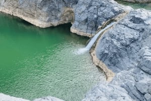 From Muscat: Wadi Al Arbieen Adventure, Sinkhole, Fins Beach