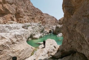 Au départ de Mascate : excursion d'une journée à Wadi Hawir avec déjeuner