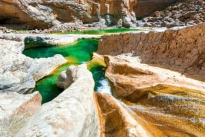Au départ de Mascate : excursion d'une journée à Wadi Hawir avec déjeuner