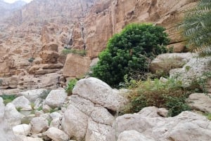 Fra Muscat: Wadi Shab Adventure, Sinkhole & Fins Beach