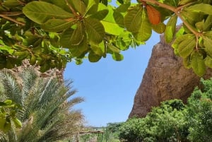 Fra Muscat: Wadi Shab Adventure, Sinkhole & Fins Beach