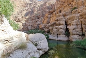 Fra Muscat: Wadi Shab Adventure, Sinkhole & Fins Beach