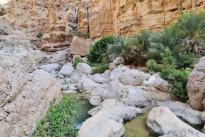 Fra Muscat: Wadi Shab Adventure, Sinkhole & Fins Beach