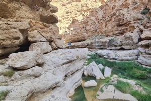 Fra Muscat: Wadi Shab Adventure, Sinkhole & Fins Beach