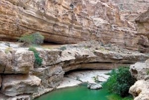 Fra Muscat: Wadi Shab Adventure, Sinkhole & Fins Beach