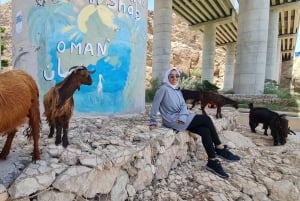 من مسقط: مغامرة وادي شاب، ومغامرة الحفرة وشاطئ الزعانف