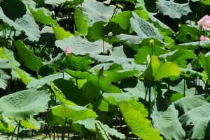 من مسقط: مغامرة وادي شاب، ومغامرة الحفرة وشاطئ الزعانف