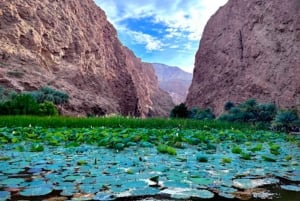 Da Muscat: escursione di un giorno al Wadi Shab e al pozzo di Bimah