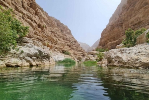 Da Muscat: escursione di un giorno al Wadi Shab e al pozzo di Bimah