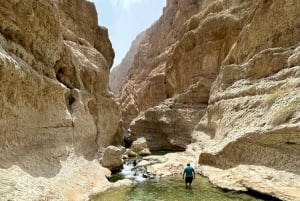 Från Muscat: Dagstur till Wadi Shab och Bimmah Sinkhole