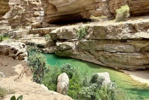 Desde Mascate: Excursión de un día a Wadi Shab y el sumidero de Bimmah