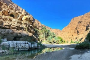De Mascate: Excursão de dia inteiro a Wadi Shab e Bimmah Sinkhole