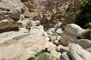 From Muscat: Wadi Shab & Bimmah Sinkhole Full-Day Tour