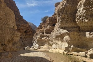 マスカット発:ワディ・シャブ探検隊