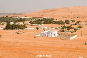 Desde Mascate: Wadi Shab, Ras Al Jinz, Wahiba Sands, tour de 2 días.