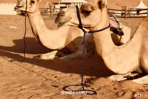 Desde Mascate: Wadi Shab, Ras Al Jinz, Wahiba Sands, tour de 2 días.