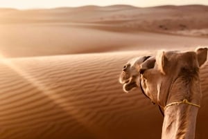 من مسقط: تجربة رمال وهيبة وصحراء وادي بني خالد