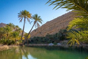 من مسقط: تجربة رمال وهيبة وصحراء وادي بني خالد