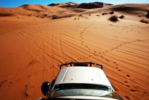 من مسقط: تجربة رمال وهيبة وصحراء وادي بني خالد