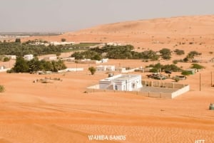 Da Muscat: tour di 2 giorni di Wahiba, Wadi Bani Khalid e Wadi Shab