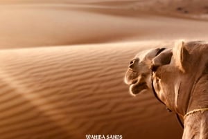 Da Muscat: tour di 2 giorni di Wahiba, Wadi Bani Khalid e Wadi Shab