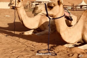 من مسقط: جولة لمدة يومين من وهيبة، ووادي بني خالد، ووادي شاب