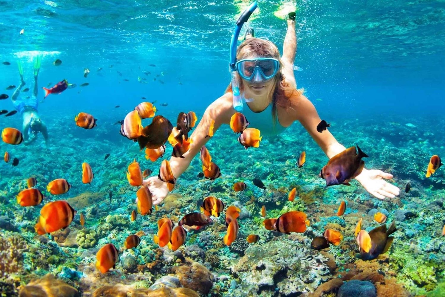 From Ras Al Khaima : Dolphin Watching and Jabal Harim Safari