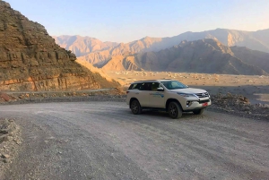 From Ras Al Khaima : Dolphin Watching and Jabal Harim Safari