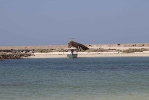 Vanuit Salalah: 2-daags avontuur op het eiland Hallaniyat