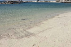 Vanuit Salalah: 2-daags avontuur op het eiland Hallaniyat